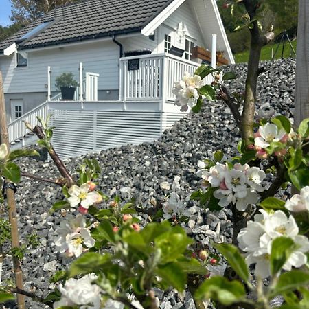 Ferienwohnung Fjord Road Hjelmeland Exterior foto